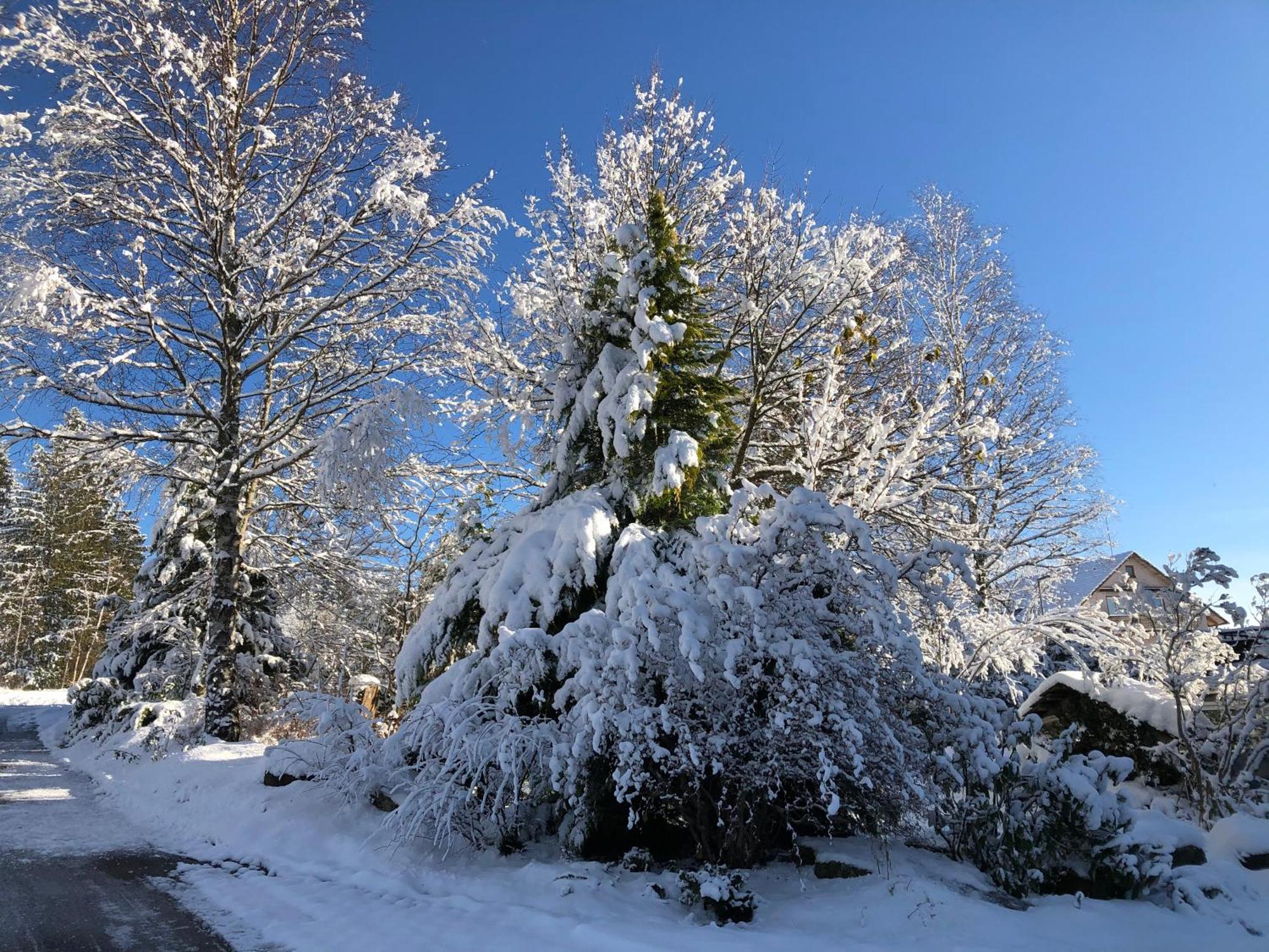 Hotel Waldblick Kniebis Εξωτερικό φωτογραφία